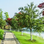 Module 2 – Ego & Zelfliefde (Touch of Matrix®)