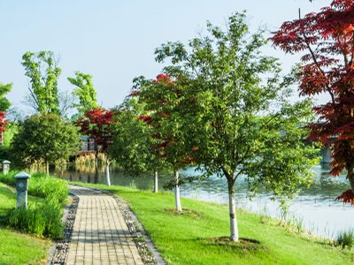 Module 2 – Ego & Zelfliefde (Touch of Matrix®)